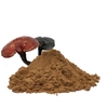 명쾌한 Ganoderma 추출물